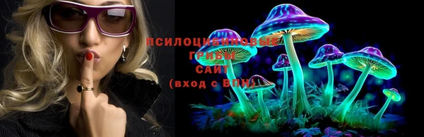 каннабис Беломорск