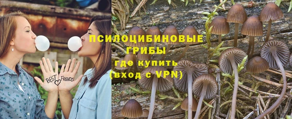 марихуана Белокуриха
