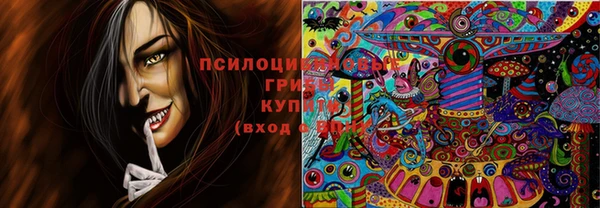 марихуана Белокуриха