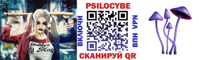 наркота  Кумертау  Псилоцибиновые грибы Psilocybine cubensis 